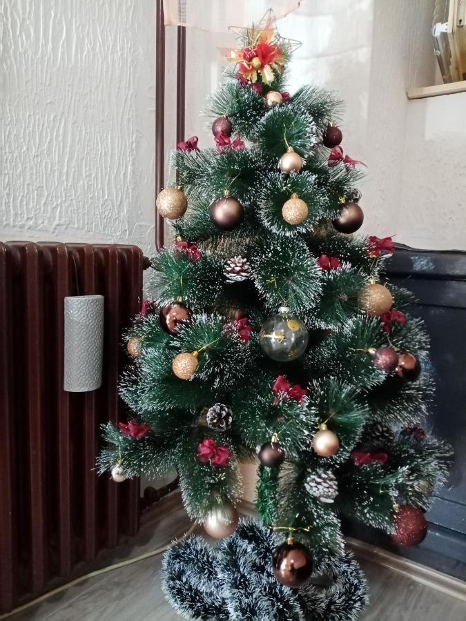 Apartment Anna Belgrade Luaran gambar